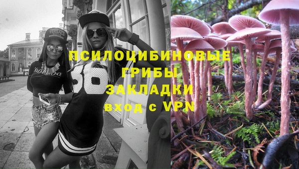молекула духа Алзамай
