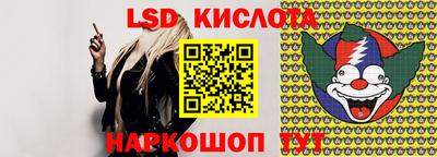 прущие грибы Тверь