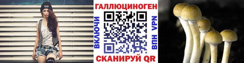 Псилоцибиновые грибы GOLDEN TEACHER Усть-Кут