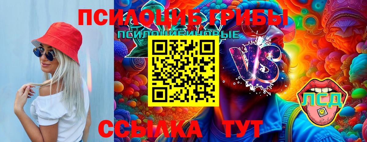 Галлюциногенные грибы Psilocybine cubensis Усть-Кут