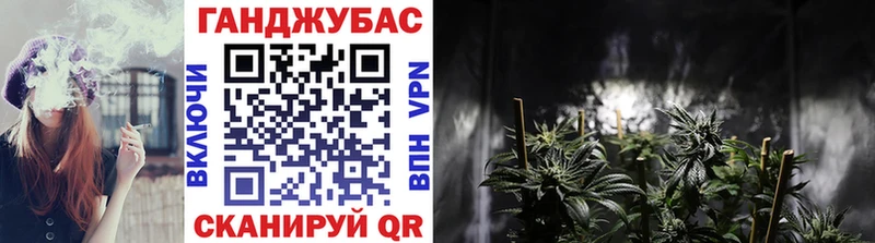 Бошки марихуана Amnesia  как найти закладки  Усть-Кут 